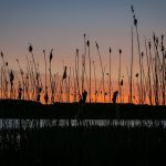 lake-1395474_1920