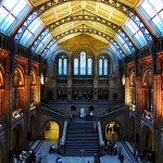 natural-history-museum-545186_1280