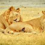 tanzania-280340_1920